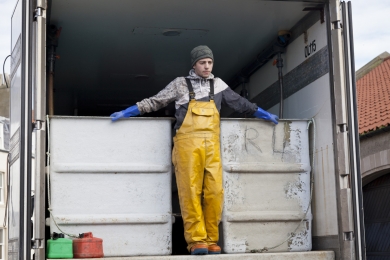 Stuart Loggans is about to load the lobsters in the truck's water tanks in Pittenweem fishmarket in Scotland in October 2011.