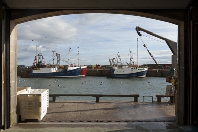 Harbour from inside the fish market in Pittenweem in Scotland in Ocotber 2011.