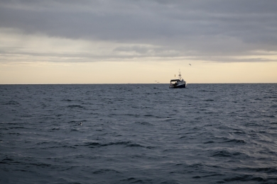 Losbter boat in the Firth of Forth in the early morning in October 2011.