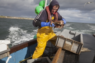 Richard Scott is keeping brown crabs on a bumpy sea before heading back to Pittenweem harbour, October 2011.