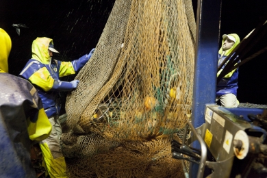 William and James Wood are hauling the net on the Launch Out in   the middle of the night in Scotland in Ocotber 2011.