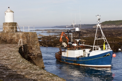 Launch Out trawler coming back to Pittenweem harbour early morning in July 2013.